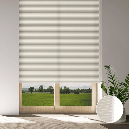 Classic Light Filtering Honeycomb