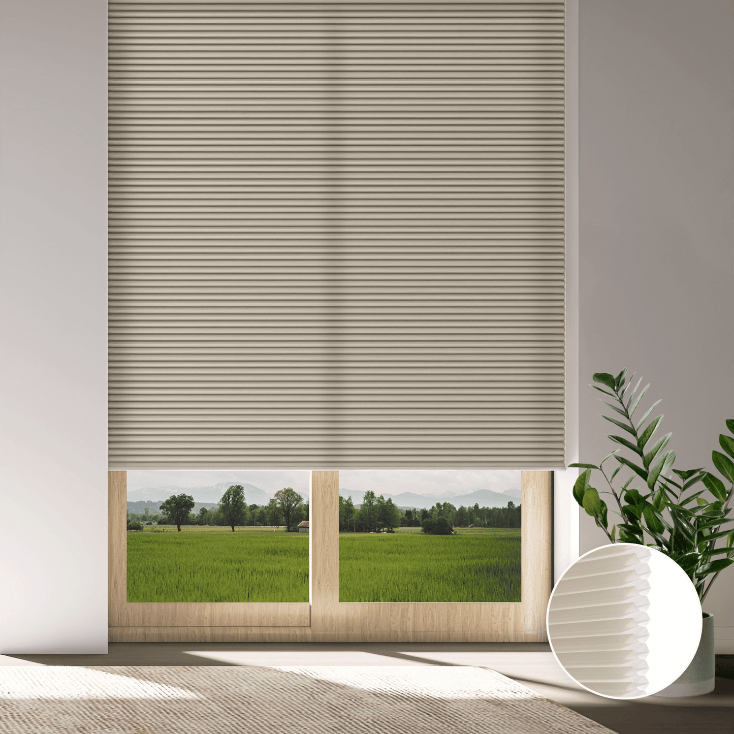 Classic Light Filtering Honeycomb