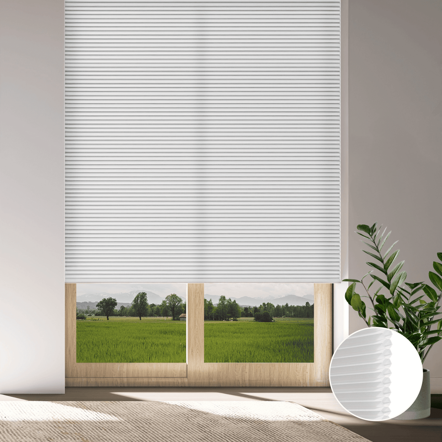 Classic Light Filtering Honeycomb